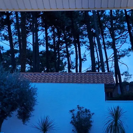 Villa_palms_mimizan_plage Jolie 12 Personnes, Piscine Chauffee Et A Pied 别墅 米尼赞海滩